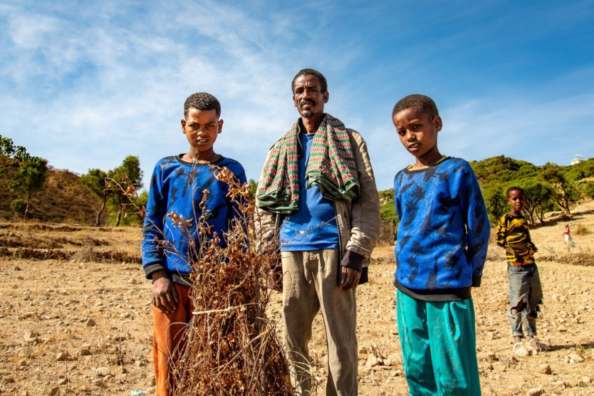 Opreis.nl CO2-partner van Trees4All